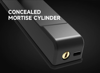 Serrure de porte intelligente en aluminium Tuya TTLOCK WiFi avec empreinte digitale, mot de passe, chargeur Type-C, options de stockage de données cloud, accès par clé intelligente, IP67