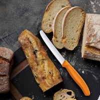Ensemble de couteaux de cuisine en acier inoxydable vibrant de qualité supérieure 6 pièces avec poignée en plastique PP outils de coupe de pain et de tomate dentelés durables