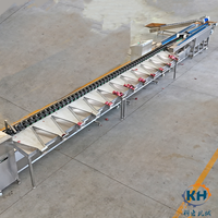 Automatische Fruitgroente Sorteermachine Voor Aardbei Bosbessen Aardappel Kastanje Hoge Efficiëntie Gewicht Fruit Verwerkingsfabriek