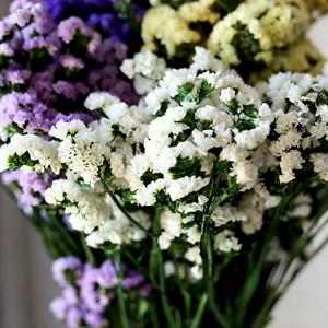 Ramo de Flores Secas, <span class=keywords><strong>No</strong></span> Me Olvides, Flores Secas <span class=keywords><strong>para</strong></span> Decoración del Hogar, Decoración de Bodas - Product Image 2