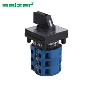 Salzer SA25 1-0-2 3 pole AC Change Over Switch 25A 48x48mm (TUV, CE und CB Approved)