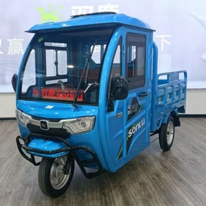 Triciclos Eléctricos de Carga con Motor de 1000W, Certificados para Uso de Pasajeros, Opciones de 48v y 72v - Product Image 2