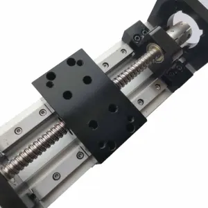 Platform Linear Gantry Xyz 2 sumbu 50mm-1000mm rel panduan modul Linear sekrup bola dapat disesuaikan untuk Printer 3d Cnc