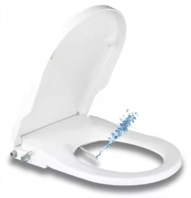 Modern Electric Intelligent Slow Close Bidet