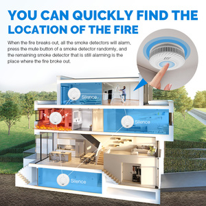 En14604 tuya Wifi Detector hệ thống báo cháy cảm biến khói cuộc sống thông minh App thông minh khói Detector - Product Image 6