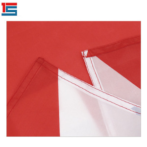 Bandiera Americana Nera Personalizzata 3X5FT in Poliestere, <span class=keywords><strong>Materiale</strong></span> Durevole e Resistente all'Usura - Product Image 4