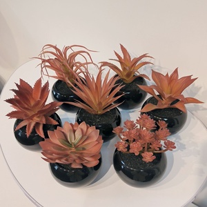 Bonsái Artificial de <span class=keywords><strong>Mango</strong></span> de Invierno, Suculenta Negra de PVC Suave con Plato, Decoración para el Hogar, Oficina, Escritorio, Mini Adorno, Altura 10-17cm, Múltiples Unidades - Product Image 3