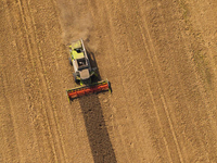 Nouvelle machine agricole de style moderne, moissonneuse-batteuse mini 40HP RF40 pour riz, manioc, olives et thé, moteur diesel, haute productivité