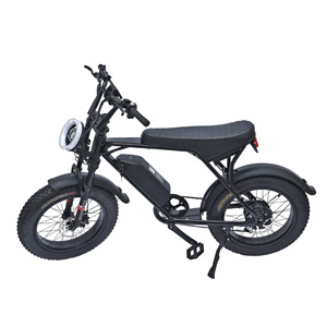Vélo électrique tout-terrain rétro de 20 pouces, moteur de moyeu arrière à pneus larges, 48V, 250W, lithium pour Amazon, vente en gros transfrontalière - Product Image 5