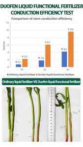 Fertilizante líquido de potasio y fósforo de algas marinas en forma de polvo que mejora el crecimiento de flores y frutas aumenta la producción de cultivos - Product Image 6