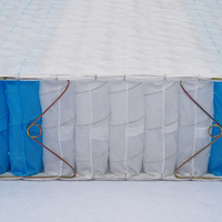Matelas à ressorts ensachés QIANGLI Queen Size, 3579 zones, avec support silencieux en acier à haute teneur en carbone – Vente Flash