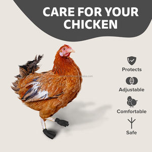 Zapatos de Neopreno para Pollos al por Mayor, Calzado para Protección de Patas de Mascotas, Botas para Granjas Avícolas, Diseño Abierto para Patas Lesionadas - Product Image 5
