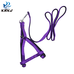 TC1108 vente en gros de produits innovants <span class=keywords><strong>pour</strong></span> animaux de compagnie <span class=keywords><strong>pour</strong></span> le jardin de la maison bandes de <span class=keywords><strong>laisse</strong></span> élastiques <span class=keywords><strong>pour</strong></span> <span class=keywords><strong>chien</strong></span> et ensemble de colliers - Product Image 4