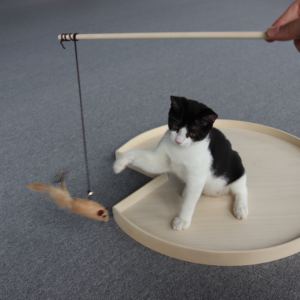 Juguete divertido de plumas para gatos de Vietnam, juguete interactivo sostenible de palo de hadas colorido para mascotas de madera para interiores para gatos - Product Image 4