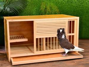 Toutes les saisons Cage commerciale en bois pour oiseaux Cage pour pigeons d'élevage Cage pour pigeons - Product Image 4