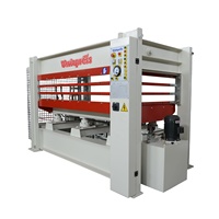 Presse hydraulique thermique à chaud pour portes affleurantes en bois, MDF, contreplaqué et placage, 3 couches, 100 tonnes, 4x9 pieds
