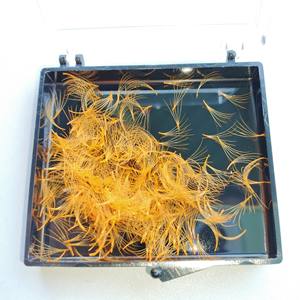 Vietnamien 0.03 0.05 Premade 5D Volume Ventilateur Cils Racine Pointue Mince Base Facile à Utiliser Lâche Pro Mega Extensions - Product Image 1