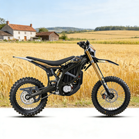 VENTE FLASH 2026 74V 24.5kW 95km/h Surron Ultra Bee tout-terrain avec chargeur rapide