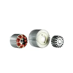 Nhà Máy Bán Buôn Tùy Chỉnh PM Motor Stator Rotor Từ Rotor Và Stator Lắp Ráp, Lắp Ráp Động Cơ Tuyến Tính