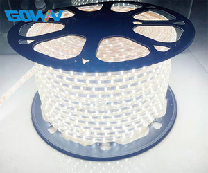 Cuerda impermeable IP67 Blanco/blanco cálido/azul 60LEDs/M + enchufe de interruptor de la UE <span class=keywords><strong>220</strong></span> 240VSMD 4040 <span class=keywords><strong>tira</strong></span> de <span class=keywords><strong>LED</strong></span> - Product Image 1
