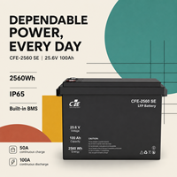 Batterie LiFePO4 LFP CFE-2560 SE 25,6V 100Ah avec BMS IP65, 3000 cycles, pour onduleurs Renogy et systèmes solaires hors réseau