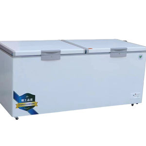 Refrigerador comercial de doble puerta, congeladores de exhibición profunda de helados horizontales, 400L-800L,-20 grados, en venta - Product Image 1