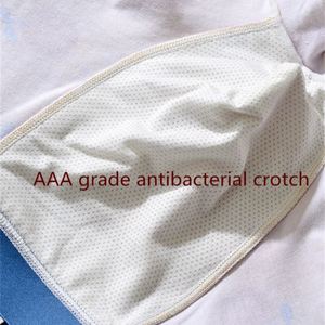 Sous-vêtements pour hommes à imprimé fruité, taille confortable, respirants, en coton modal, boxers pour garçons, vente en gros - Product Image 4
