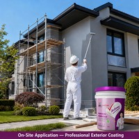 Pintura de Látex Impermeable para Exteriores, Nano Inorgánica Premium, para Uso Residencial y Comercial