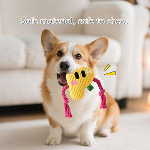 Jouet à mâcher pour chien en forme de lettre de l'alphabet de style dessin animé, écologique, design exclusif, en polyester durable, pour soulager le stress, corde à mâcher pour animaux de compagnie - Product Image 4