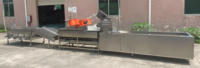 Ligne de production entièrement automatique de jus et de pâte de fruits DZJX, équipement de transformation des fruits et légumes