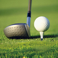 Tees de golf personnalisés en bambou écologique avec impression rouge, blanche et bleue – Accessoires promotionnels pour le golf, pour les terrains et les événements