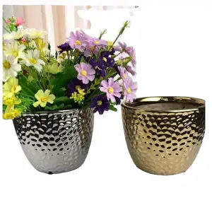 Big Large Wholesale Cheap Planters Flower Pots for Livingroom Manufacturers Gold Garden Indoor Used with Flower/green Plant