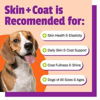 OEM/ODM suplemen hewan peliharaan Natural-minyak Salmon untuk kulit anjing & mantel: kulit gatal kering menghilangkan dengan Vitamin E & minyak biji Flax