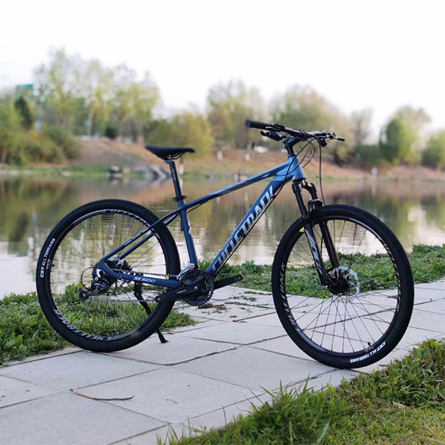 Cycletrack CK-XC600 MTB Rennrad Aluminium Professionelles MTB Legierung 29  Zoll Mountainbike fr Erwachsene| Alibaba.com