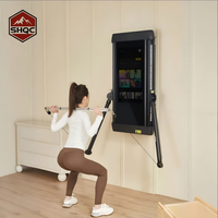 Equipo de Fitness Inteligente para el Hogar, Estación Multifunción, Máquina de Gimnasio Comercial, Set de Pesas, Espejo Inteligente, Remo Echelon, Metal