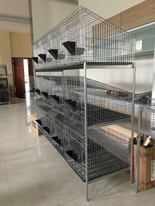 Cage à lapin commerciale cage à lapin agricole complète cages à lapin afrique du sud - Product Image 4