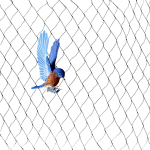 <span class=keywords><strong>Filet</strong></span> à <span class=keywords><strong>oiseaux</strong></span> hdpe pour étang à poissons, <span class=keywords><strong>filet</strong></span> à <span class=keywords><strong>oiseaux</strong></span> pour fraises/<span class=keywords><strong>filet</strong></span> <span class=keywords><strong>anti</strong></span>-<span class=keywords><strong>oiseaux</strong></span> en inde, vente en gros - Product Image 3