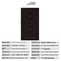 Table de cuisson à induction double encastrable 1500-2000W, 2 brûleurs, étanche, commande par bouton-poussoir, niveau d'efficacité énergétique 3, usage industriel et commercial