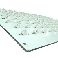 Module LED UV à séchage rapide 300W 395nm 405nm Lumière de durcissement LED UV pour imprimante 3D