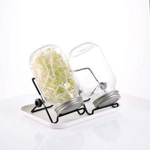 Kit de Germinación Personalizado para Cocina, Frasco de Vidrio Cuadrado Transparente de Grado Alimenticio de 1000 ml con Soporte para Germinación - Product Image 3