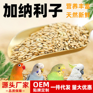Nourriture pour oiseaux, millet d'île de canaris avec coque pour perruches, calopsittes et pivoines, nutrition spéciale, contenant en plastique réutilisable - Product Image 5