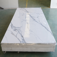 Panel de Pared de PVC con Acabado Brillante de Lujo, Diseño de Mármol, Resistente a los Rayos UV, Moderno, Floral, para Sala de Estar, Ecológico e Impermeable
