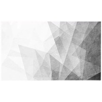 Papier peint mural 8D moderne et simple, imperméable, pour chambre d'appartement, salon, fond de télévision, motif animal gris abstrait