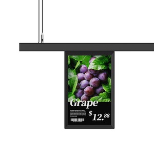 10.1-inch đầy đủ màu sắc màn hình LCD Đăng kích thước lớn kỹ thuật số trong nhà quảng cáo giá tag Kệ hiển thị video ứng dụng giáo dục - Product Image 3