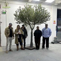 Fabrikpreis Maßgefertigter Künstlicher Olivenbaum Bonsai 1-10 Meter für Innenräume, Kunstpflanze Olivenbaum für Heim, Restaurants, Hotel Dekoration