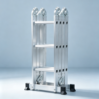 Échelle articulée multifonctionnelle en aluminium pliable multi-positions, robuste, 4x4 marches