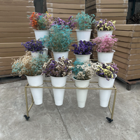 Présentoir à plantes multi-niveaux moderne avec roulettes, chariot de jardin, étagère à fleurs, 12 seaux en fer pour fleurs fraîches