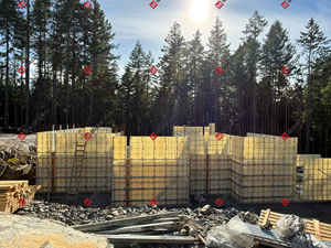 <b>Plastic</b> Formwork System Tie <b>Rod</b> Wing Nut Industrial Reusable Easily Assembled Custom - Product Image 5