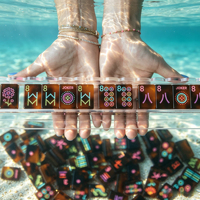 Jeu de Mahjong américain en acrylique gravé avec motif personnalisé, série Tortoise Happy, 160 pièces, pour divertissement adulte – Vente chaude