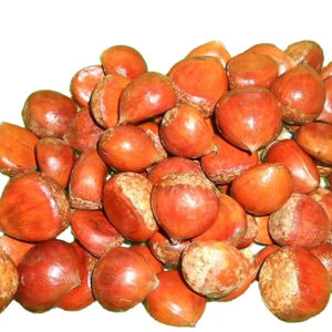 <span class=keywords><strong>Prix</strong></span> de gros de haute qualité bonne qualité <span class=keywords><strong>châtaigne</strong></span> chinoise fraîche - Product Image 1